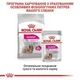 Cухой корм для собак малых пород привередливых в питании Royal Canin Mini Exigent, 3 кг - изображение 3