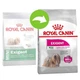 Cухой корм для собак малых пород привередливых в питании Royal Canin Mini Exigent, 3 кг - изображение 4