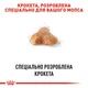 Сухой корм для мопсов Royal Canin Pug Adult, 3 кг - изображение 4