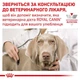 Лечебные консервы для собак и кошек Royal Canin Recovery (мус) , 195 г - изображение 6