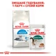 Royal Canin Indoor 7+ для взрослых кошек не покидающих помещение старше 7 лет, 1.5 кг - изображение 7