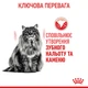 Сухой корм для кошек Royal Canin Oral / Dental Care Профилактики образования зубного налета и зубного камня, 1.5 кг - изображение 6