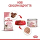Консервы для котят с момента отъема до 4 месяцев Royal Canin Mother and Babycat , 195 г - изображение 9