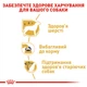 Сухой корм для собак породы Йоркширский терьер Royal Canin Yorkshire Terrier Adult , 500 г - изображение 4