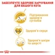 Сухой корм для кошек породы Мэйн Кун Royal Canin Adult Maine Coon, 10 кг - изображение 5