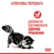Консервы для кошек с чувствительным пищеварением Royal Canin Digest Sensitive Care кусочки в соусе, 85 г - изображение 8