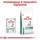 Вологий корм для дорослих собак Royal Canin Diabetic Special Lc Dog паштет при цукровому діабеті, 410 г - изображение 4