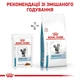 Вологий корм для дорослих котів Royal Canin Skin & Coat шматочки в соусі, 85 г - изображение 5