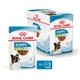 Влажный корм для щенят мелких пород Royal Canin Puppy X-Small кусочки в соусе, 85 г - изображение 2