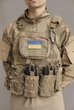 Плитоноска с подсумками для магазинов разгрузочный военный жилет с системой Molle Coyote (PLT-069-2) - изображение 6