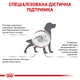 Сухий корм для собак Royal Canin Gastrointestinal 2 кг - изображение 2