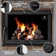 Дверца для камина Iron Fire Style 75 730x540 мм со стеклом чугунная - изображение 2