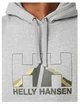 Худи Helly Hansen Nord Graphic Pull Over Hoodie Grey 62975-950 XL - изображение 3