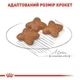 Сухий корм Royal Canin MINI ADULT з м'ясом птиці для дорослих собак малих порід 0,8 кг - зображення 5