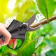 Акумуляторний садовий секатор Forte CP21-25BC - изображение 5