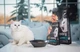 Сухой корм для котят, SAVORY (Сейвори), Savory Kitten Chicken with Fresh Turkey, 8 кг, (Индюшка, курица) - изображение 4