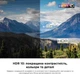 Телевизор TCL 43" 43P655 - изображение 11