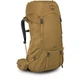 Рюкзак Osprey Rook 65 (brown/rhino grey - O/S - коричневий) - изображение 1