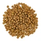 Сухий корм для котів Savory Adult Cat Gourmand Fresh Salmon and White Fish зі свіжим лососем і білою рибою 8 кг (30037) - зображення 2