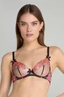 Комплект Agent Provocateur Lexx (бюстгальтер 34D+ слипы 2) - изображение 2
