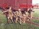 Сборная модель ICM Британская пехота 1917-1918г. 35301 - изображение 2