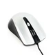 Мышь Gembird MUS-4B-01-BS Black/Silver USB - изображение 5