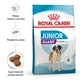 Сухий корм Royal Canin Giant Junior 15 кг (3031150) - зображення 4