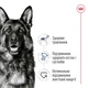 Сухой корм Royal Canin Maxi Adult 15 кг (30071500) - изображение 6