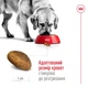 Сухий корм Royal Canin Maxi Adult 4 кг (30070400) - зображення 7
