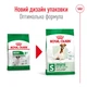 Сухой корм Royal Canin Mini Adult 8+ 800 г (3002080) - изображение 2