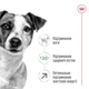 Сухой корм Royal Canin Mini Adult 8+ 800 г (3002080) - изображение 5