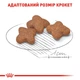Сухой корм Royal Canin Mini Adult 8+ 800 г (3002080) - изображение 6