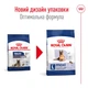 Сухий корм Royal Canin Maxi Ageing 8+ 15 кг (24541500) - зображення 2