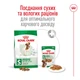 Сухий корм Royal Canin Mini Adult 8 кг (30010080) - зображення 3