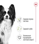 Сухой корм Royal Canin X-small Adult 1.5 кг (10030150) - изображение 7