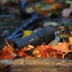 Монокуляр Opticron T4 Trailfinder 10x25 WP (30711) - изображение 3