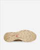 Кроссовки Salomon Xt-6 Gore-Tex Sneakers Safari Beige L47445500 46.5 - изображение 6
