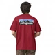 Футболка Patagonia P-6 Logo Responsibili-Tee T-Shirt Red 38504TGRD L - изображение 4