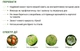 Фунгіцид Чарівник 200 г ProtectON - зображення 6