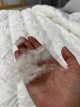 Одеяло пуховое натуральное Cappone Зима 200х220 см, белое - изображение 2