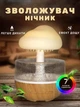 Зволожувач повітря нічник аромадифузор EP 300 ml у вигляді гриба з ефектом дощу лампа світильник з RGB підсвічуванням - изображение 1