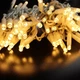 Гирлянда ColorWay 10м 100Led IP65 теплый белый свет (CW-GO-100L10WW) - изображение 12
