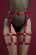 Гартеры Feral Feelings Garter S-XL Красный ( SO3449 ) - изображение 2