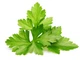 Змінний картридж Click&Grow Коріандр (8417) - изображение 13