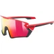 Очки Uvex Sportstyle 231 Red (1092-4043197338736) - изображение 1
