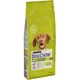 Сухой корм для собак Purina Dog Chow Adult Lamb со вкусом ягненка 14 кг (7613034487636) - изображение 1