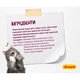 Сухий корм для кішок Josera Senior 400 г (4032254757818) - зображення 4