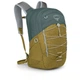Рюкзак туристический Osprey Quasar 26 tunnel/brindle O/S (m420532) - изображение 1