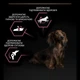Сухий корм Purina Pro Plan Small&Mini Sensitive Skin для собак дрібних порід з чутливою шкірою з лососем 700 г (7613035120808) - зображення 5