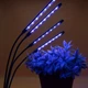 Фитолампа для растений на 4 ветки светодиодная LED с таймером USB 20Вт, настольная лампа для роста и цветения, комнатных и тепличных растений с клипсой-зажимом и USB питанием, красный, фиолетовый и синий свет Черная LP-418 - изображение 4